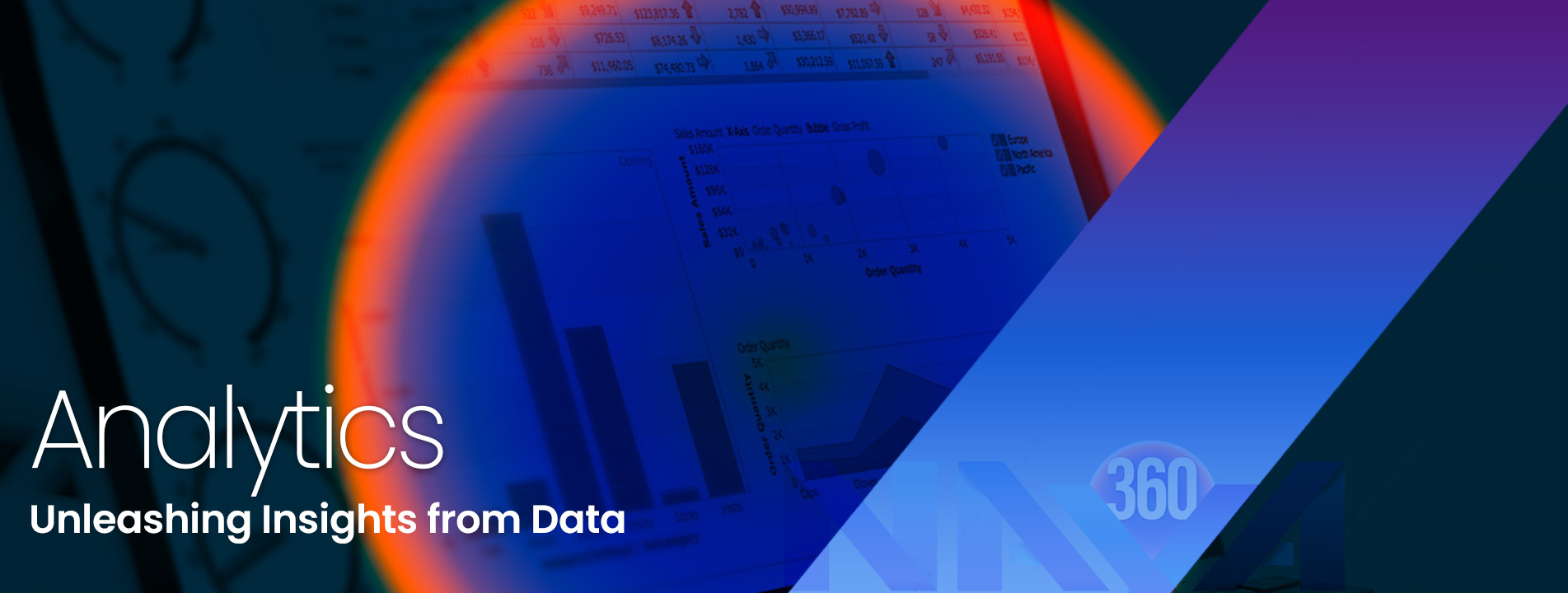 Analytics services Naxa360